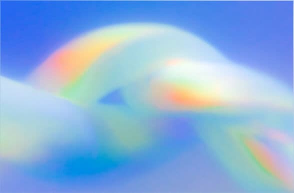 Business Verification Advanced