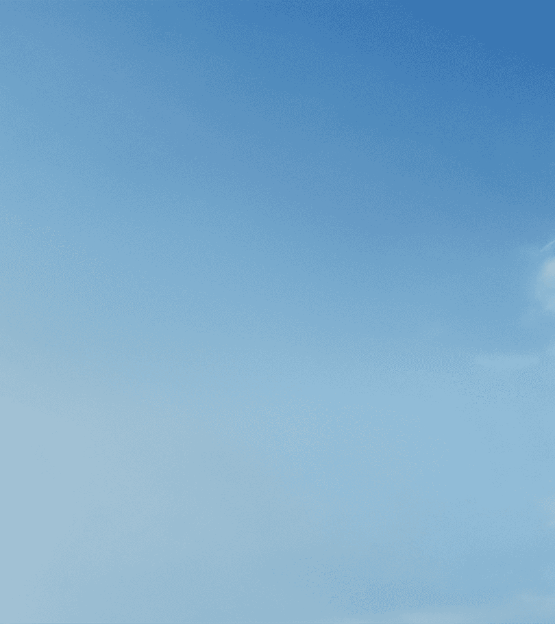Form background