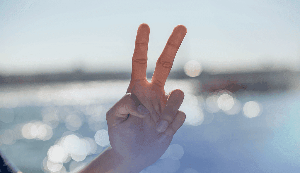 Security Experts Warn Hand Signs in Selfies Could Expose Biometric Data