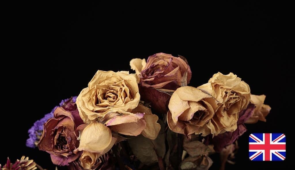 UK Romance Fraud Losses Top £102m as Reports Jump 29%
