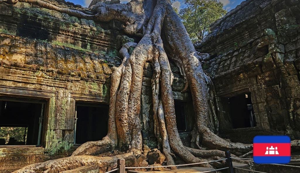 Amnesty Report Links Cambodian Casinos to Scam Compounds Despite Crackdown