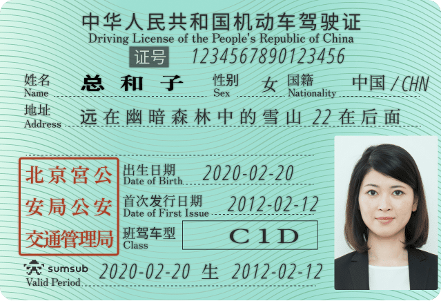 Chinese Driver License